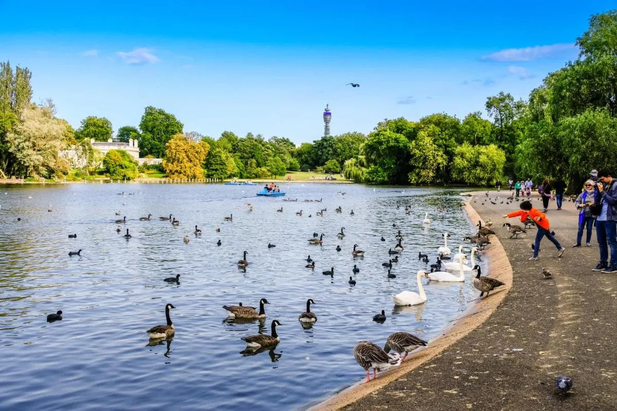 Image 5 of Parkside House – Regent’s Park – by Frankie Says