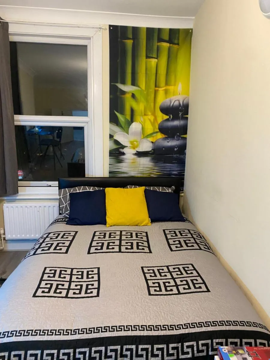 Image 4 of Room two blue
