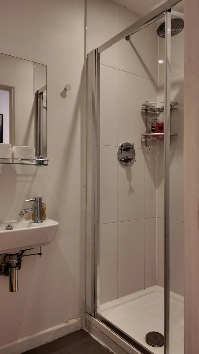 Image 3 of Stunning Piccadilly 1 BR Flat in London VR9