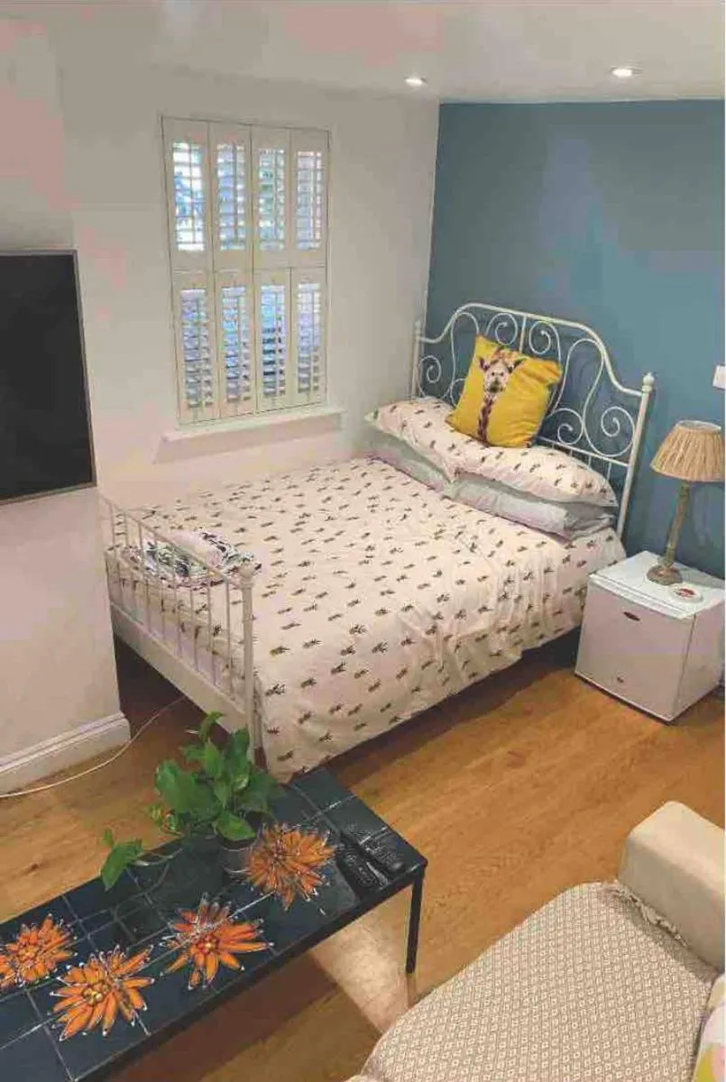 Image 4 of Stylish Modern Studio, Mock Georgian House, Heart of Trendy Hackney & London