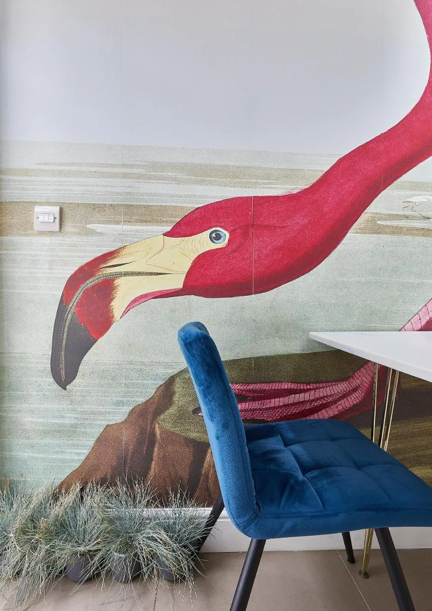 Image 4 of The Flamingo