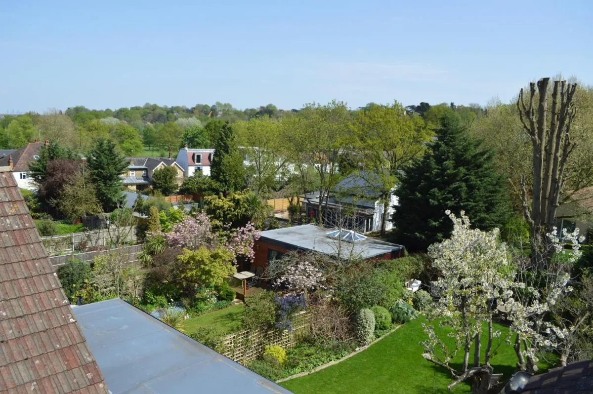 Image 5 of Wimbledon Views