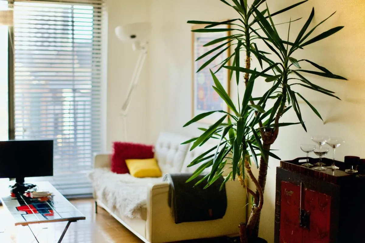 Image 5 of Zen life with Urban Views – E8 Chic