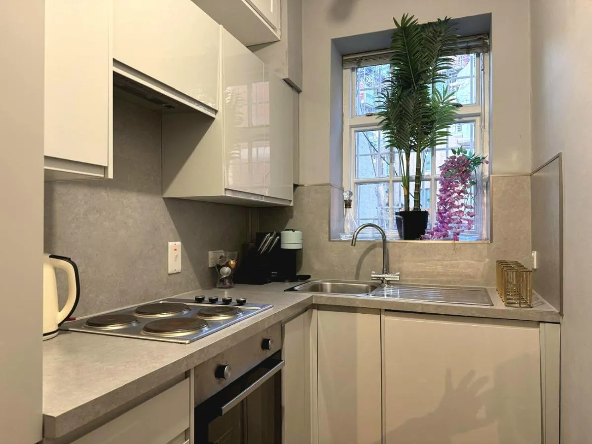 Image 4 of cozy 1 bedroom flat in Mayfair