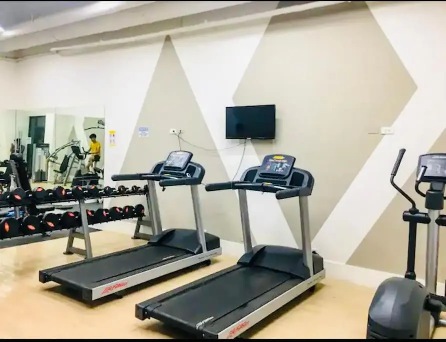Image 5 of Studio City Comfort T4
