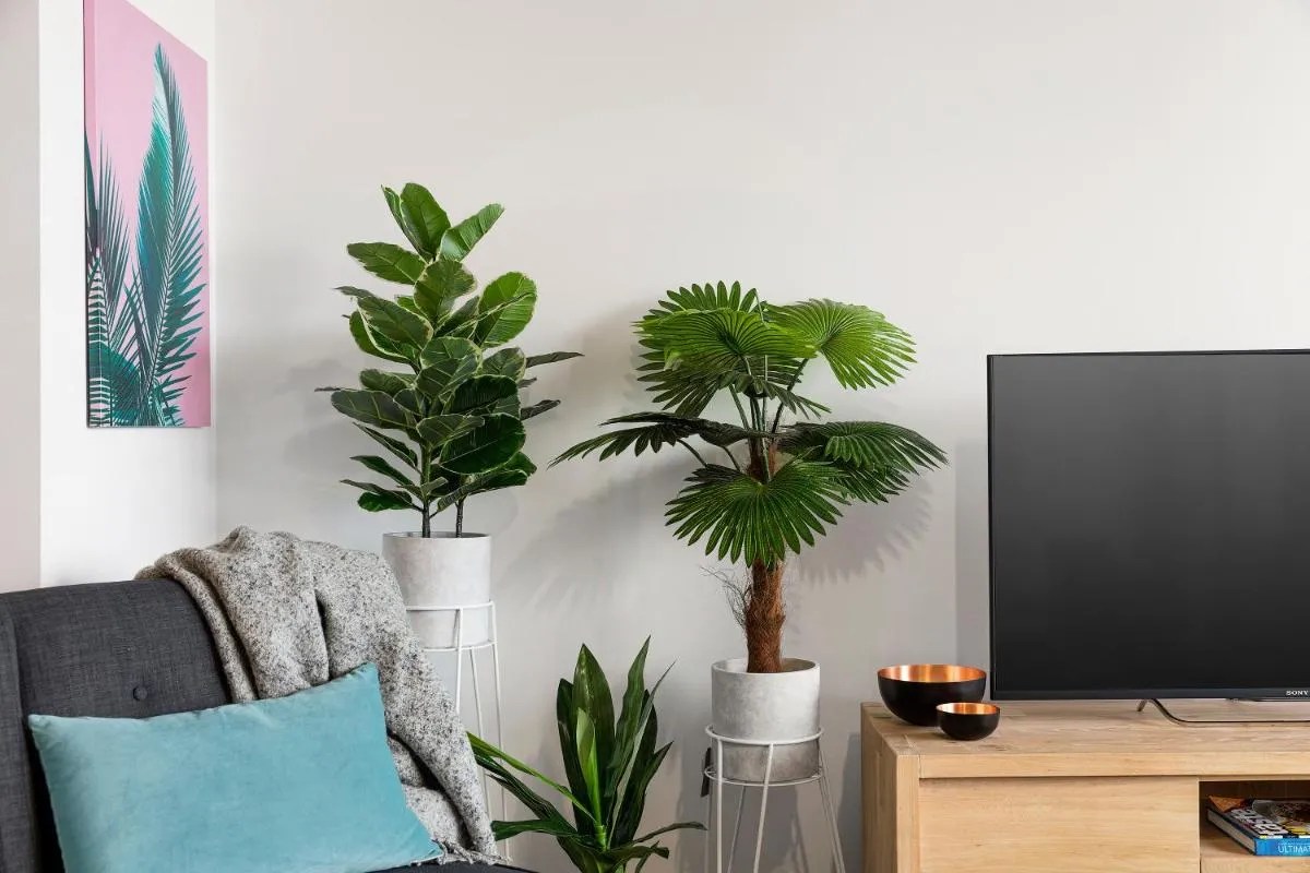 Beach Apartment Port Melbourne — 5