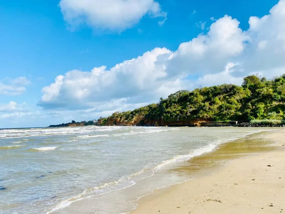 Bay Rd Kids & Pet Friendly Free Parking — 5
