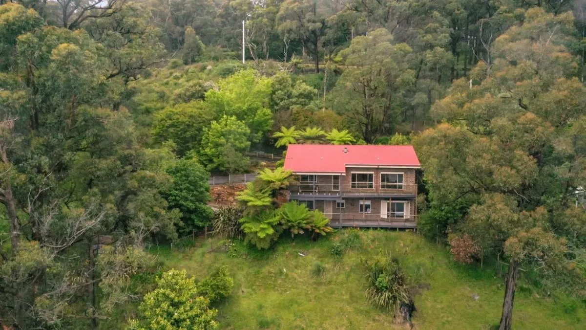 Embrace Nature’s Beauty in Ferny Creek — 2