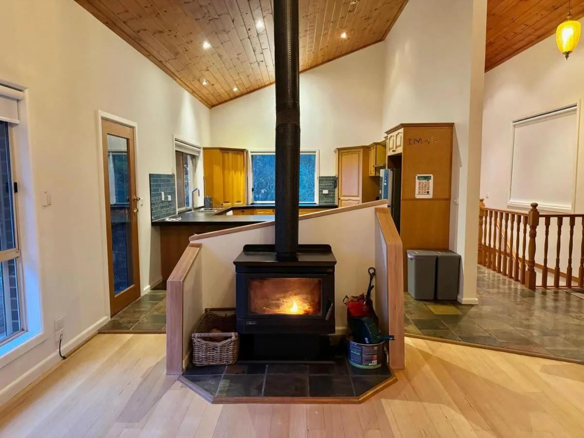 Embrace Nature’s Beauty in Ferny Creek — 3