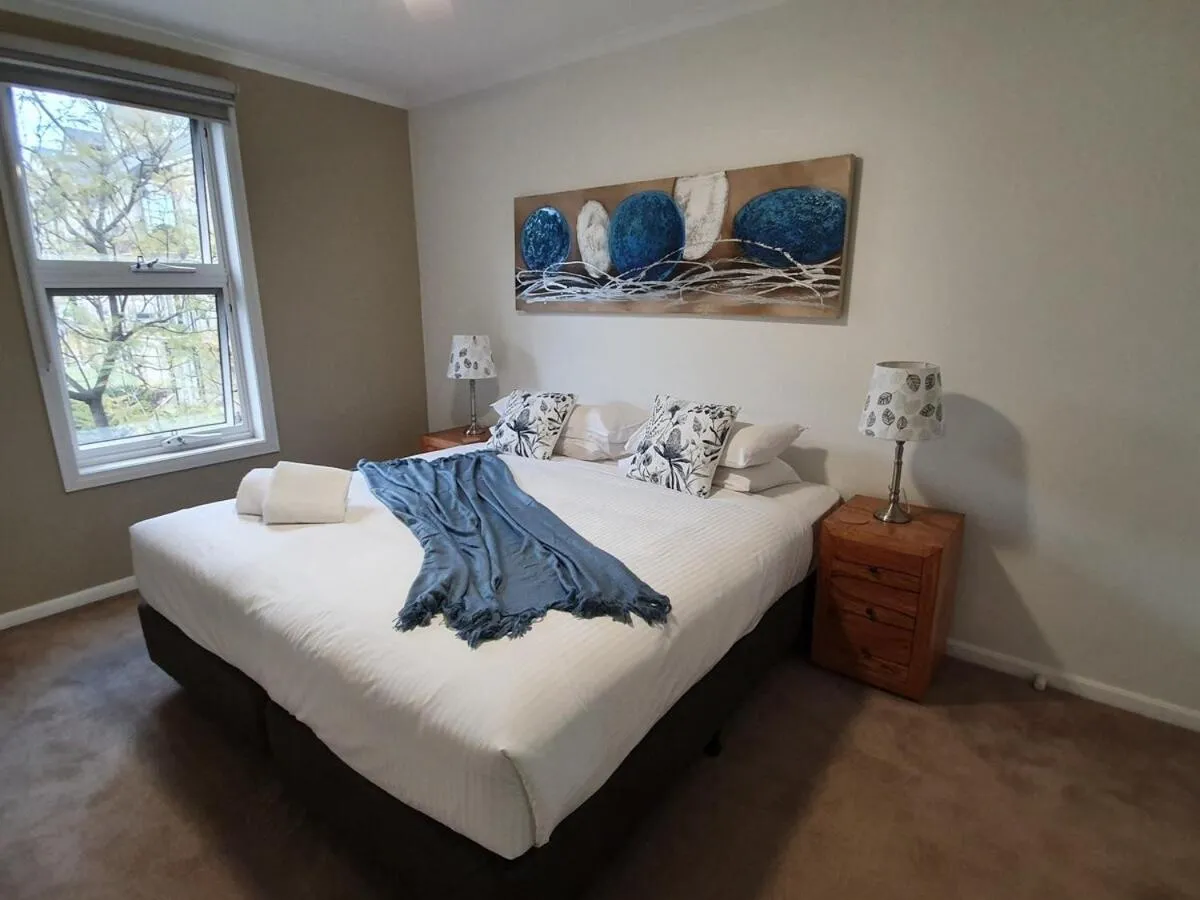 Garden oasis 3 bedroom apt — 2