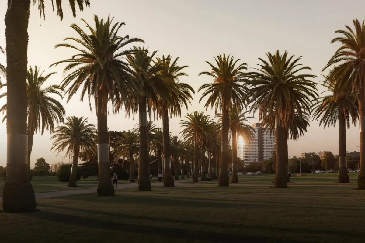 MAC St Kilda Blessington St by Melbourne Apartment Collection — 3