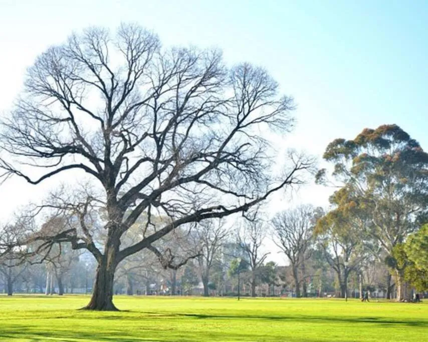 South Yarra Urban Haven — 4