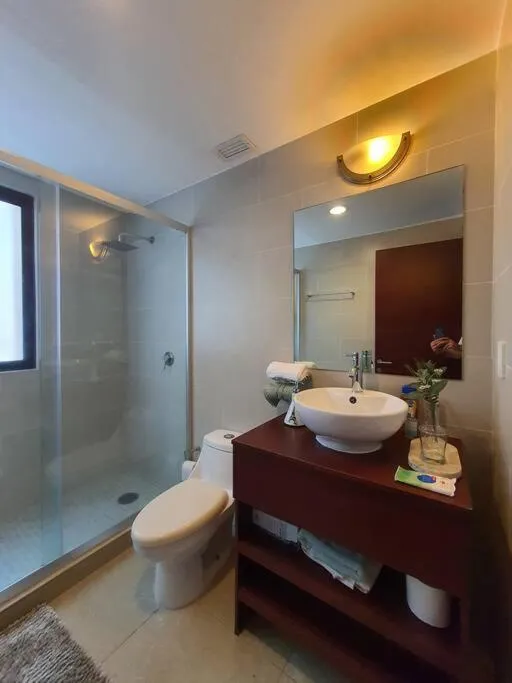 Image 3 of Argento Apartment in New Polanco