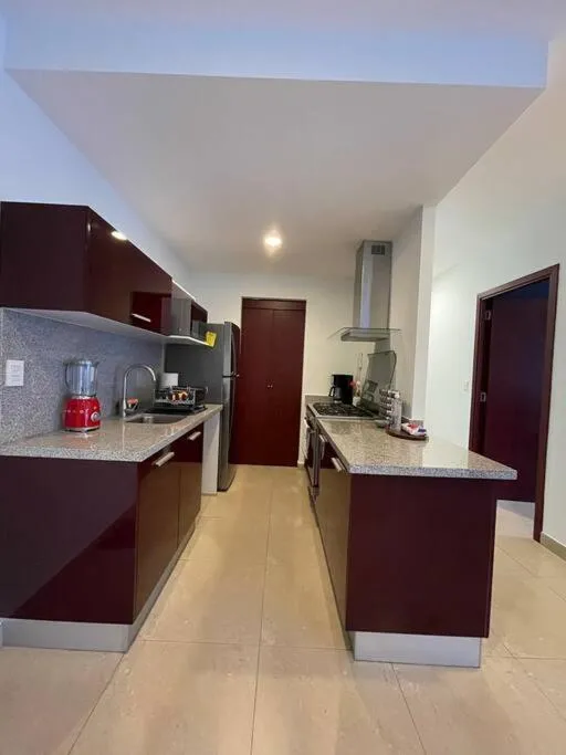 Image 4 of Argento Apartment in New Polanco