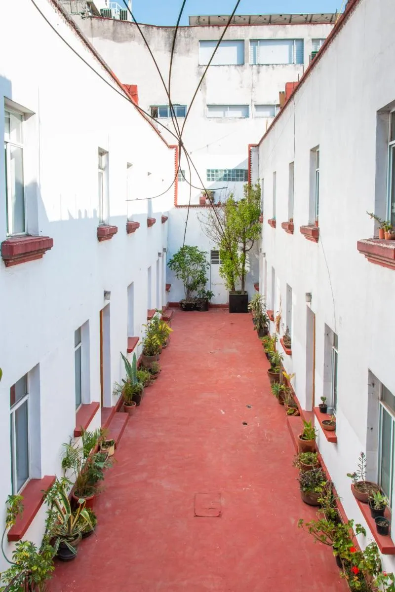 Image 3 of Casa Lumo in Roma Norte by Tasman