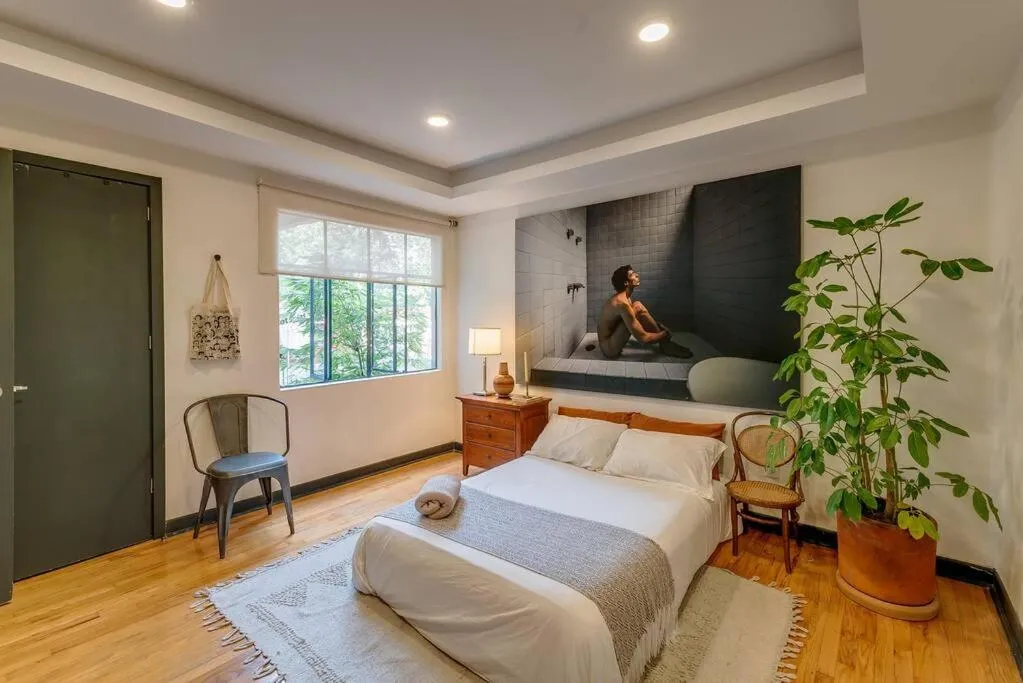 Image of Cozy apartment heart of Condesa.