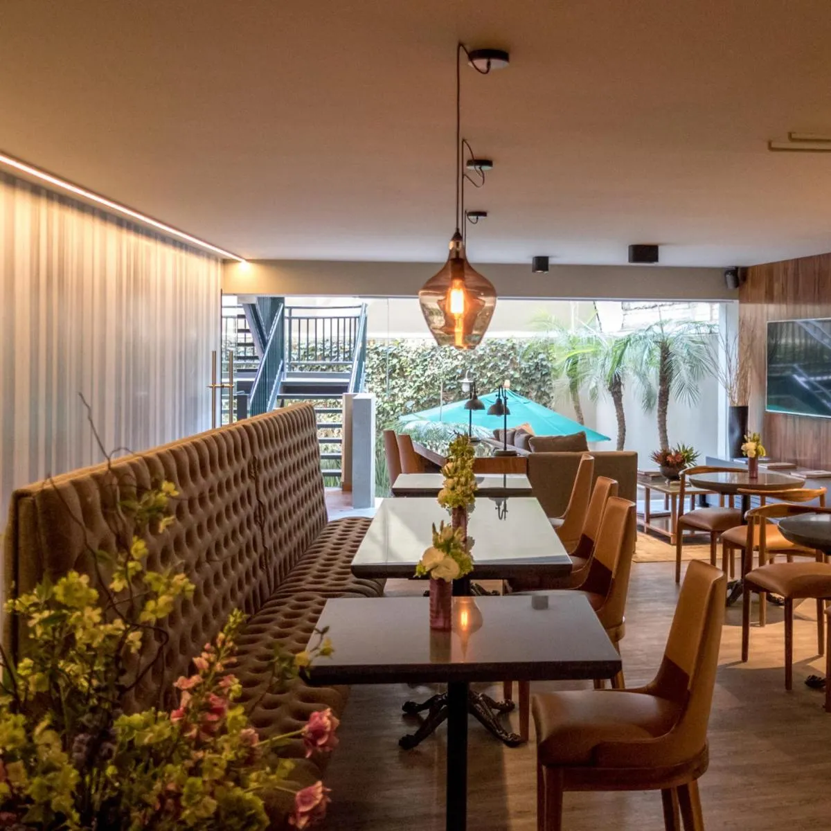 Image 4 of Dominion Polanco