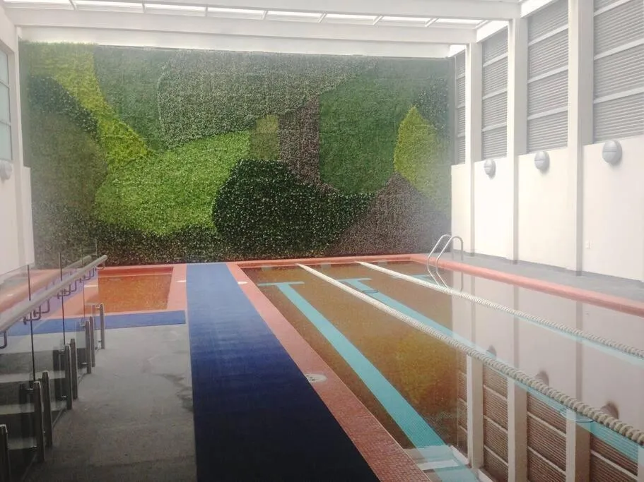 Image 2 of Home sweet home in CDMX near Polanco and Reforma