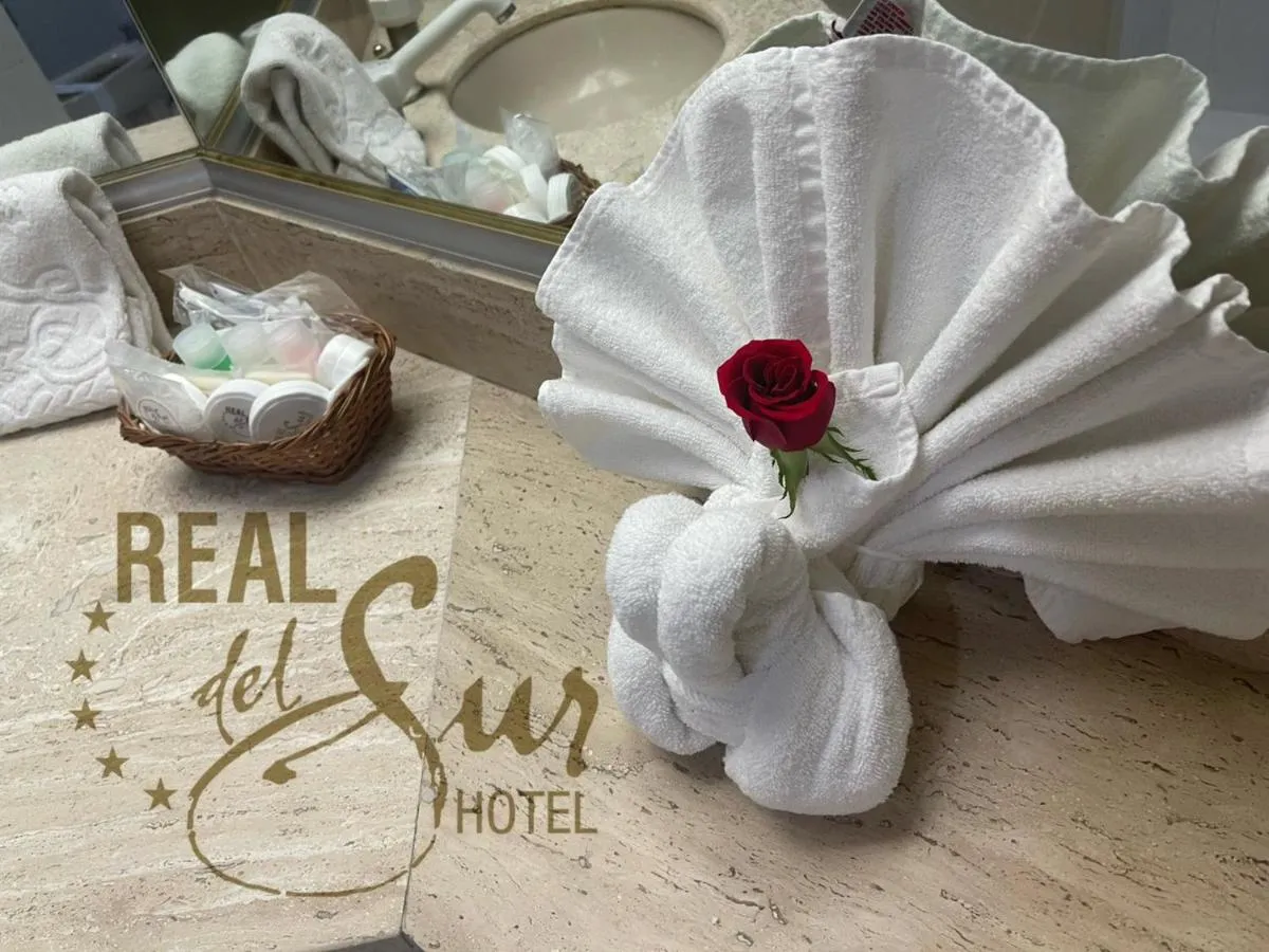 Image 2 of Hotel Real del Sur