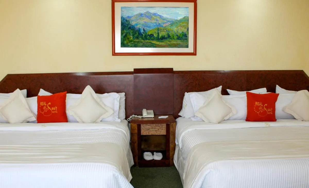 Image 1 of Hotel Real del Sur