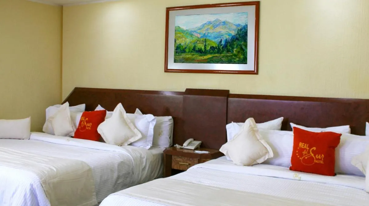 Image 6 of Hotel Real del Sur