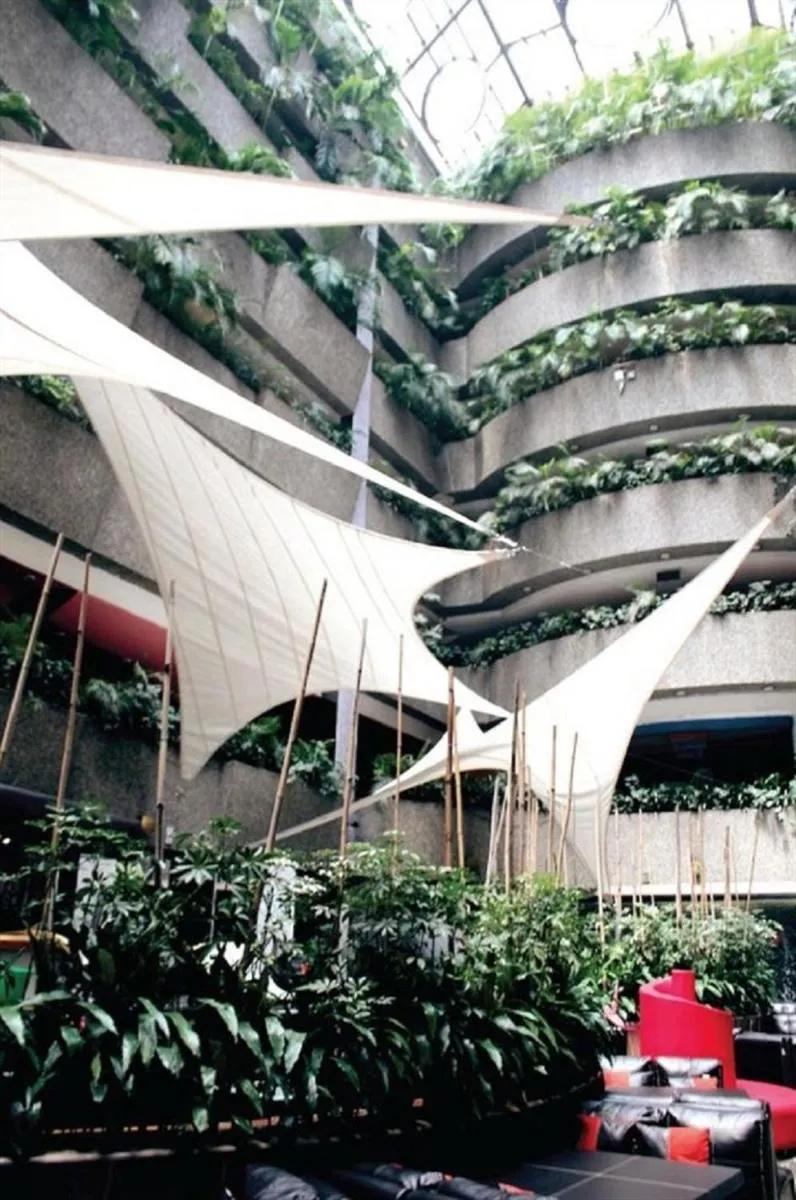 Image 5 of Hotel Real del Sur