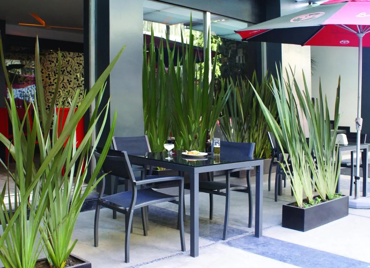 Image 4 of Hotel Regente