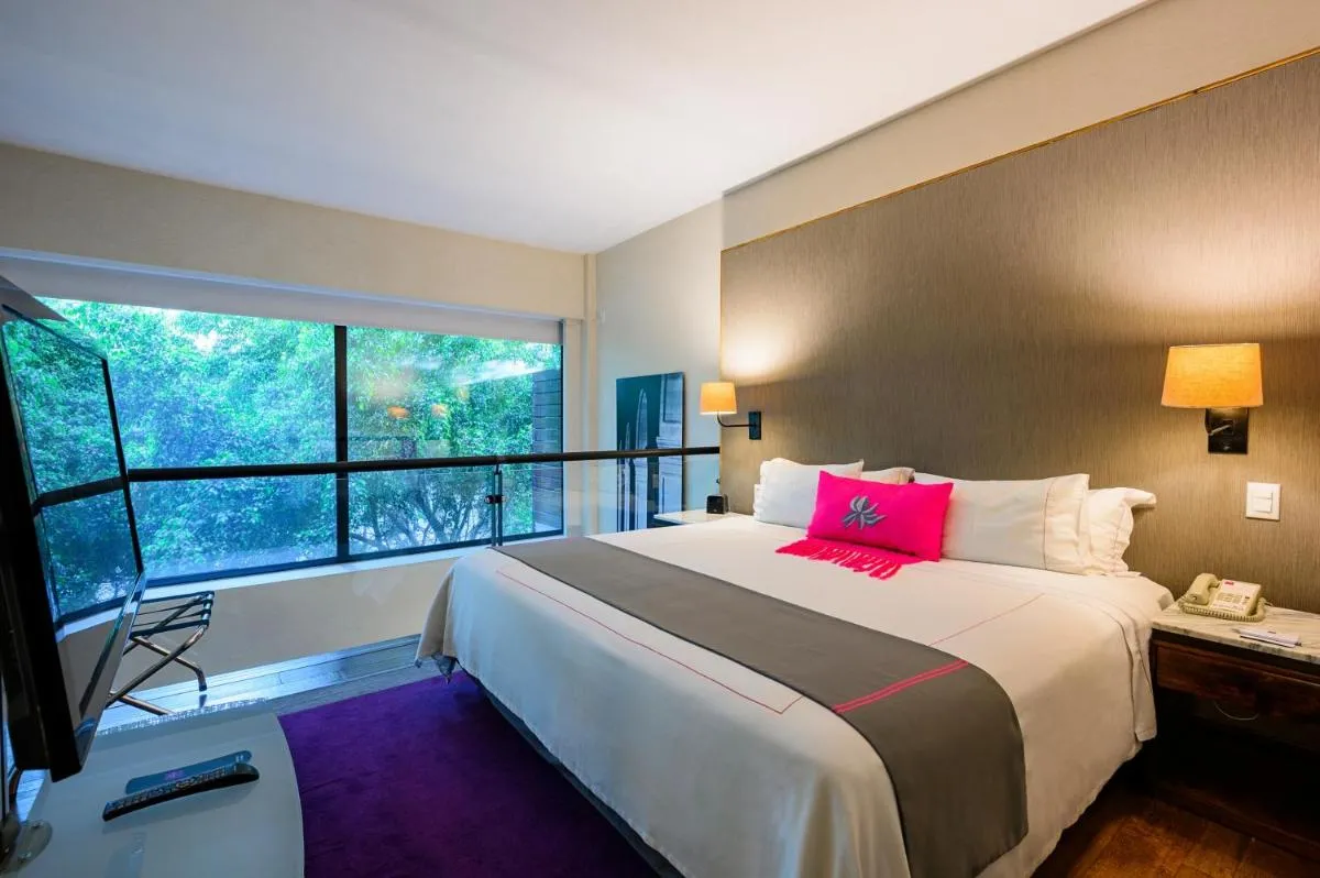 Image 5 of Las Suites Campos Eliseos