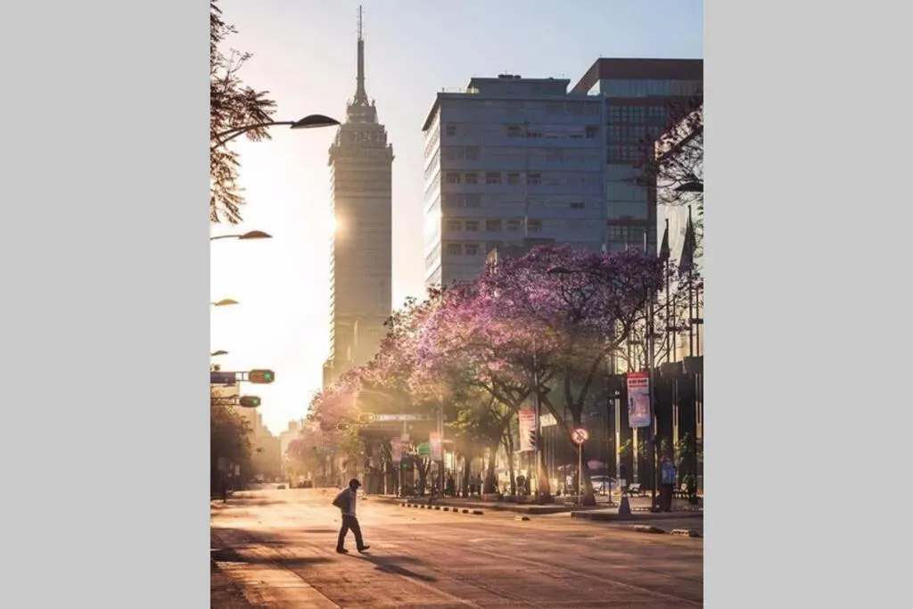 Image 5 of Lavish & Vibrant Apt. Bellas Artes Palace and Park View