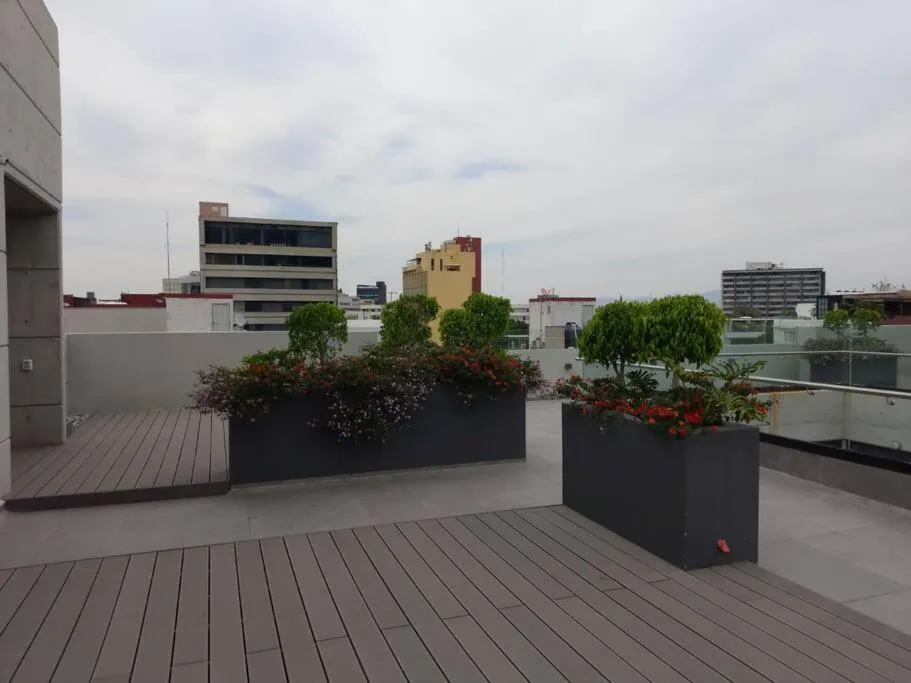 Image 4 of New Beautiful apartment near Reforma