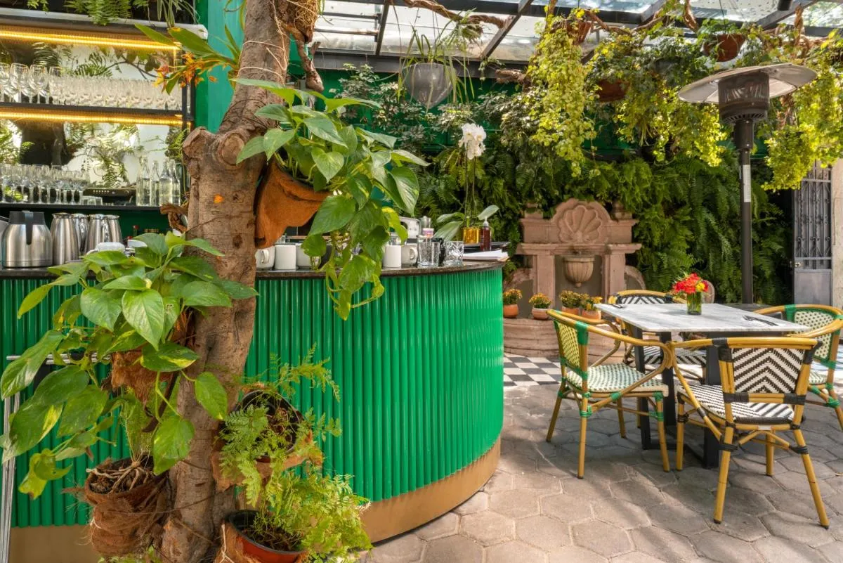 Image 5 of Orchid House Polanco