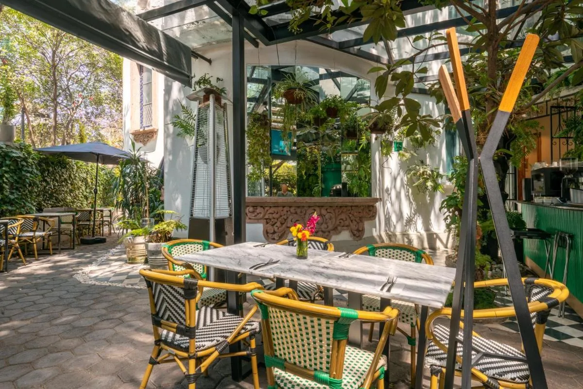 Image 6 of Orchid House Polanco