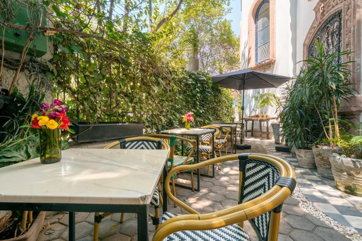 Image 4 of Orchid House Polanco