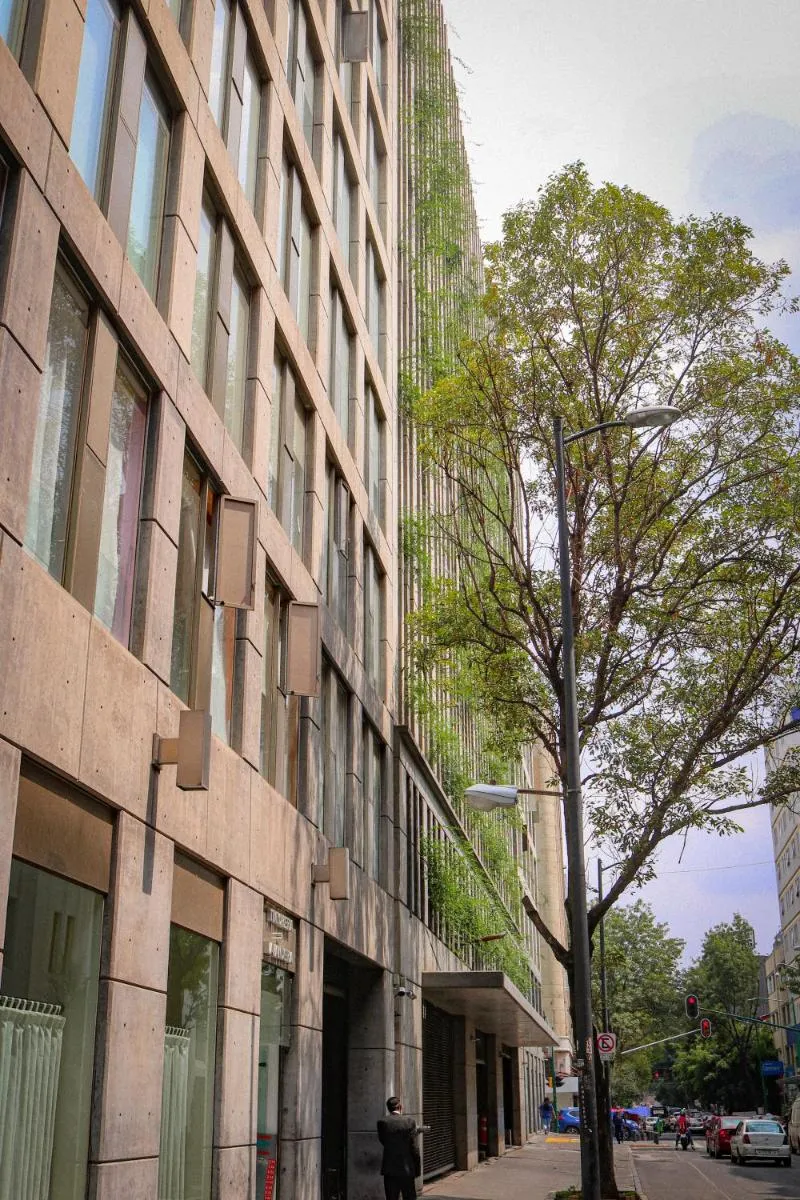 Image 4 of Punto Alameda
