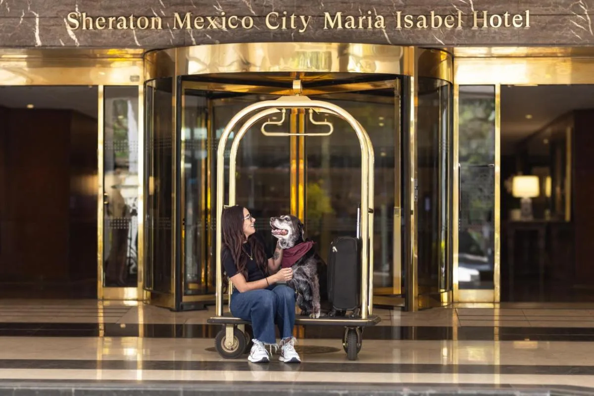 Image 6 of Sheraton Mexico City Maria Isabel