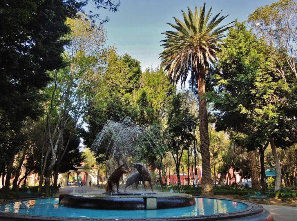 Image 5 of Artisanal Loft Coyoacan