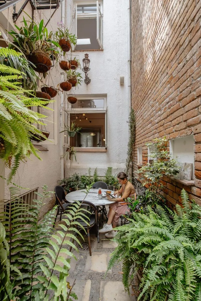 Image 5 of Casa Chapulín-Mexican Eclectic Home in Roma Norte