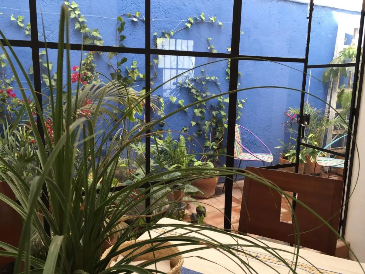 Image 5 of Casa Molcajete