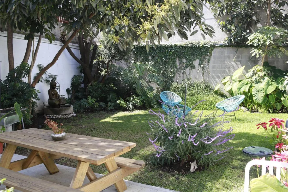 Image 5 of Coyoacan City Lofts
