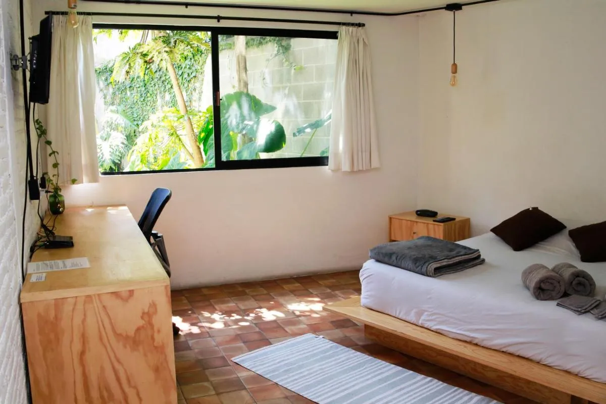 Image 1 of Coyoacan City Lofts