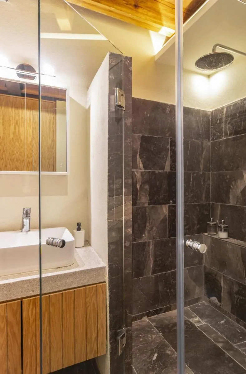 Image 4 of Departamento Emilio Dondé zona céntrica CDMX