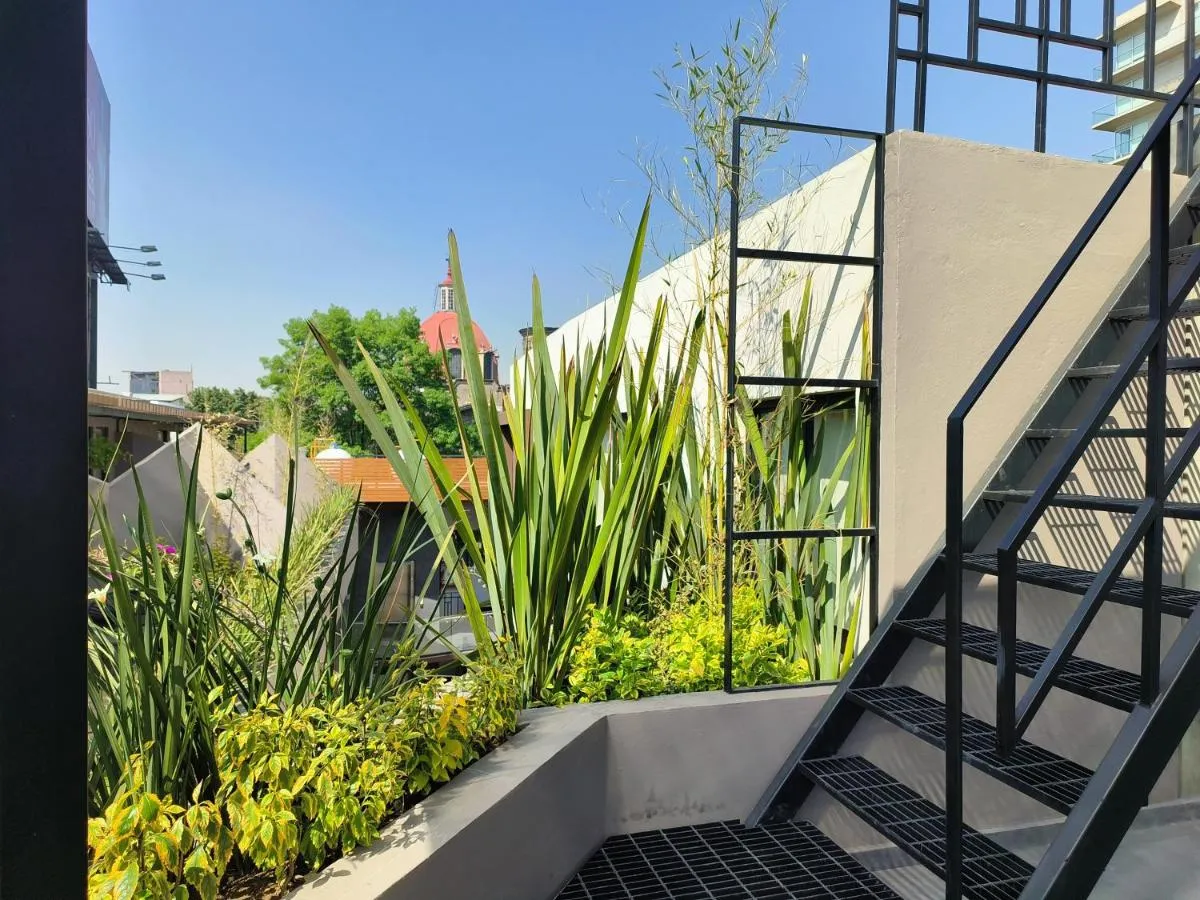 Image 5 of Flats Friends Condesa-Pelotari