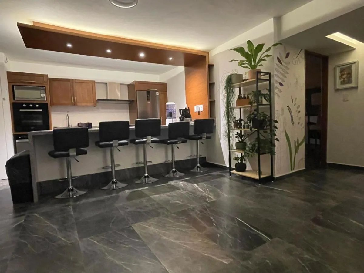 Image 2 of Great apartment in the heart of Coyoacan
