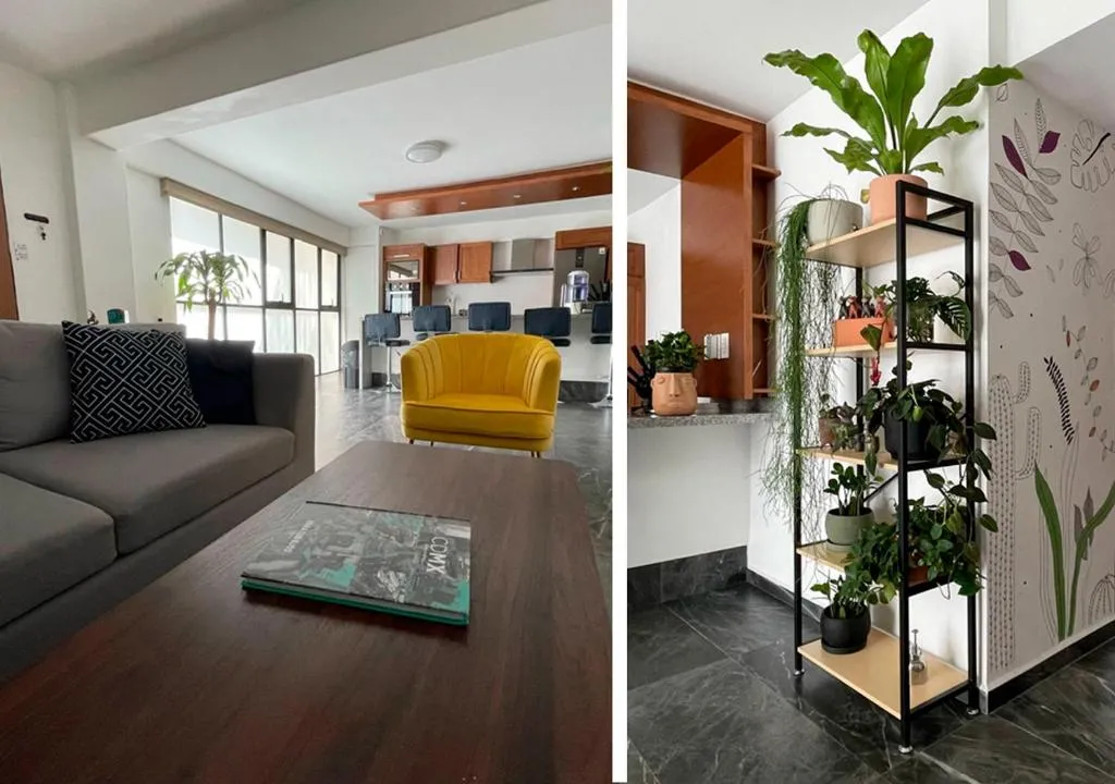 Image of Great apartment in the heart of Coyoacan