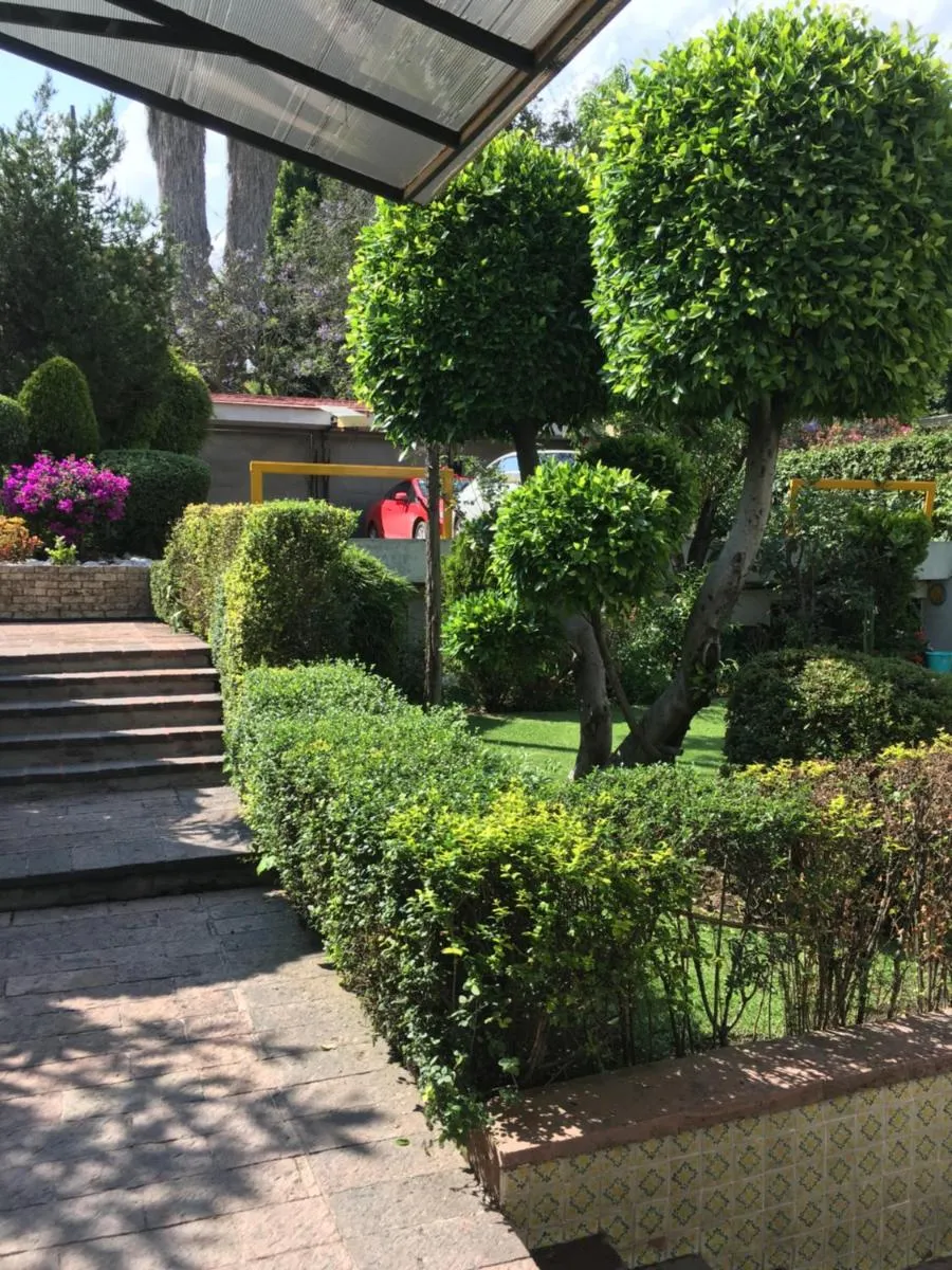 Image 5 of Grupo Kings Suites – Bosque de Duraznos 72