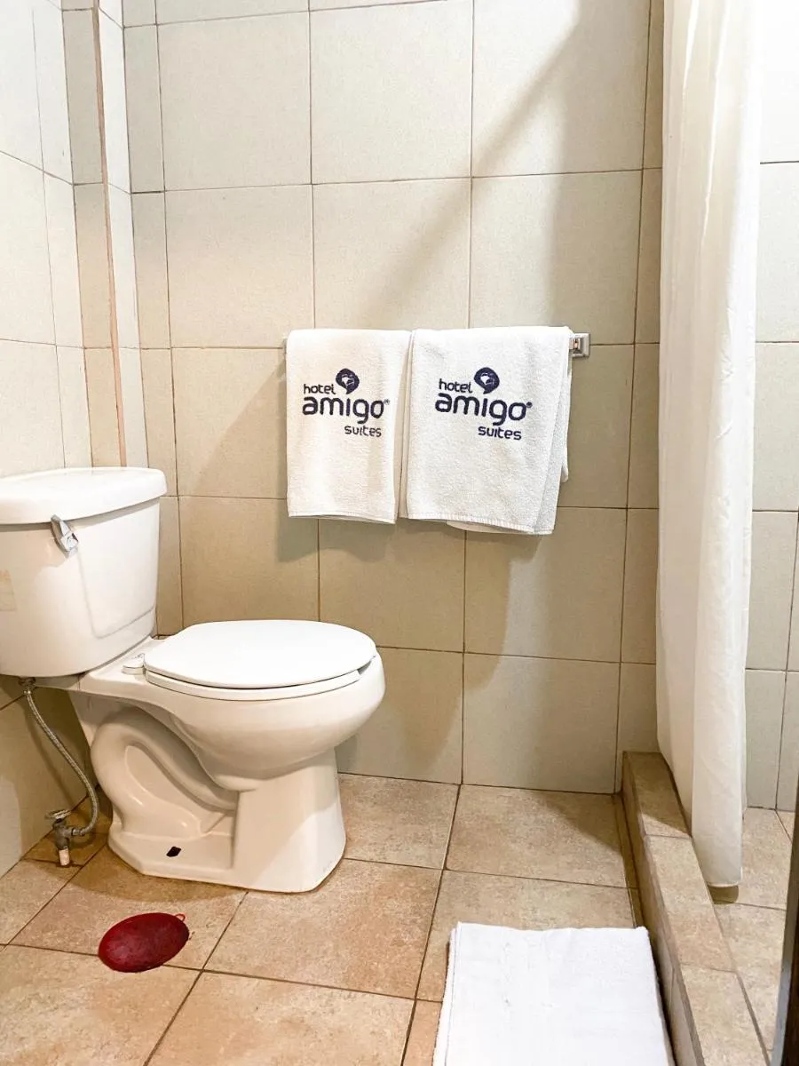 Image 6 of Hotel Amigo Suites