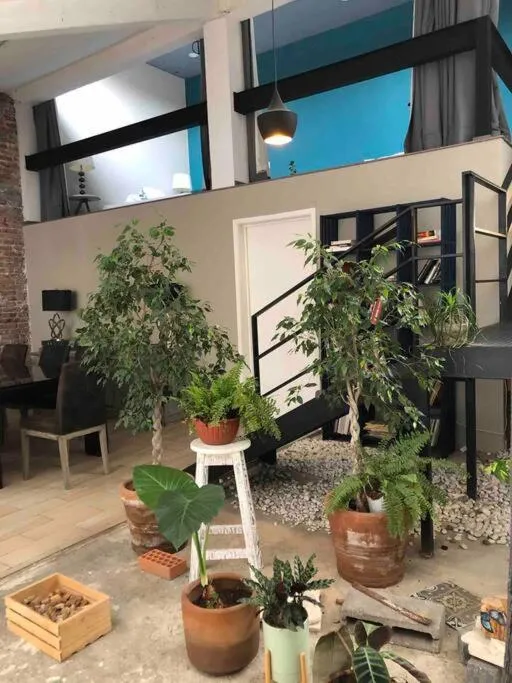 Image 5 of Loft Condesa