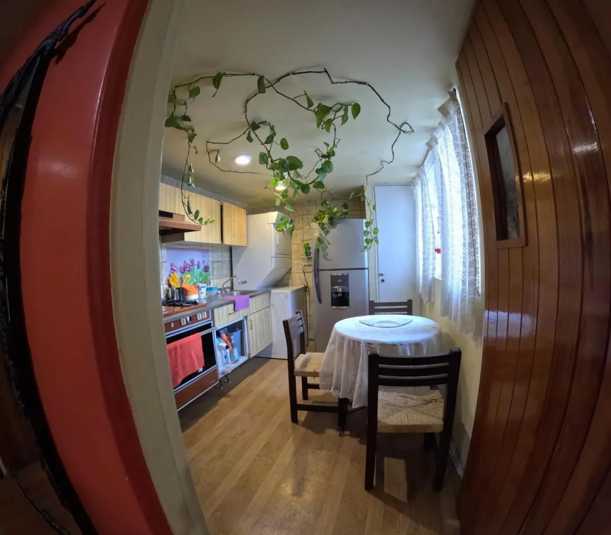 Image 6 of Neighbor of Frida Khalo, vintage stay in Coyoacán