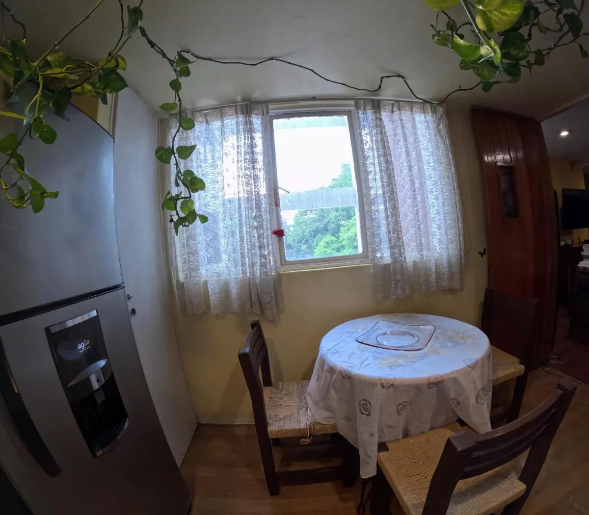 Image 3 of Neighbor of Frida Khalo, vintage stay in Coyoacán