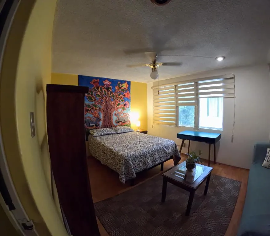 Image of Neighbor of Frida Khalo, vintage stay in Coyoacán